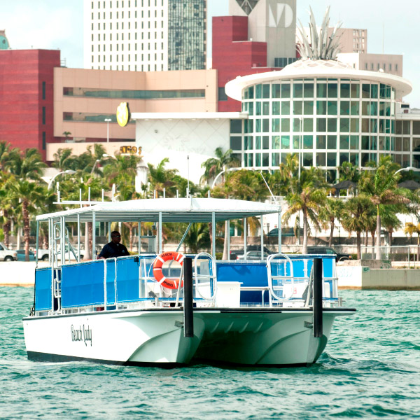 Beach Lady Yacht Cruise in Miami