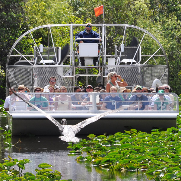 Everglades Safari Park in Miami