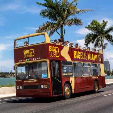 The Best Tours in Miami