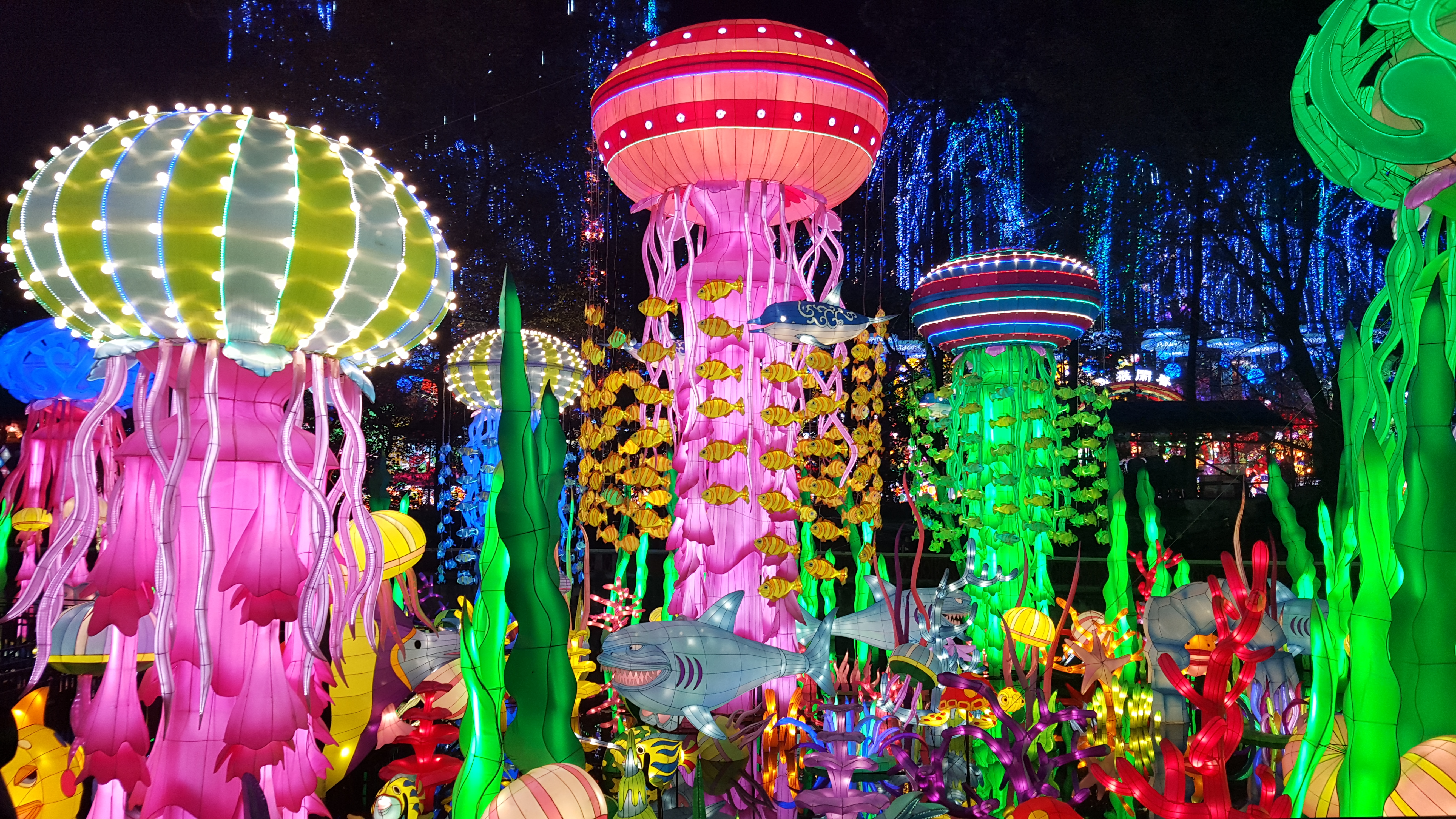 bright colorful jellyfish dioramas