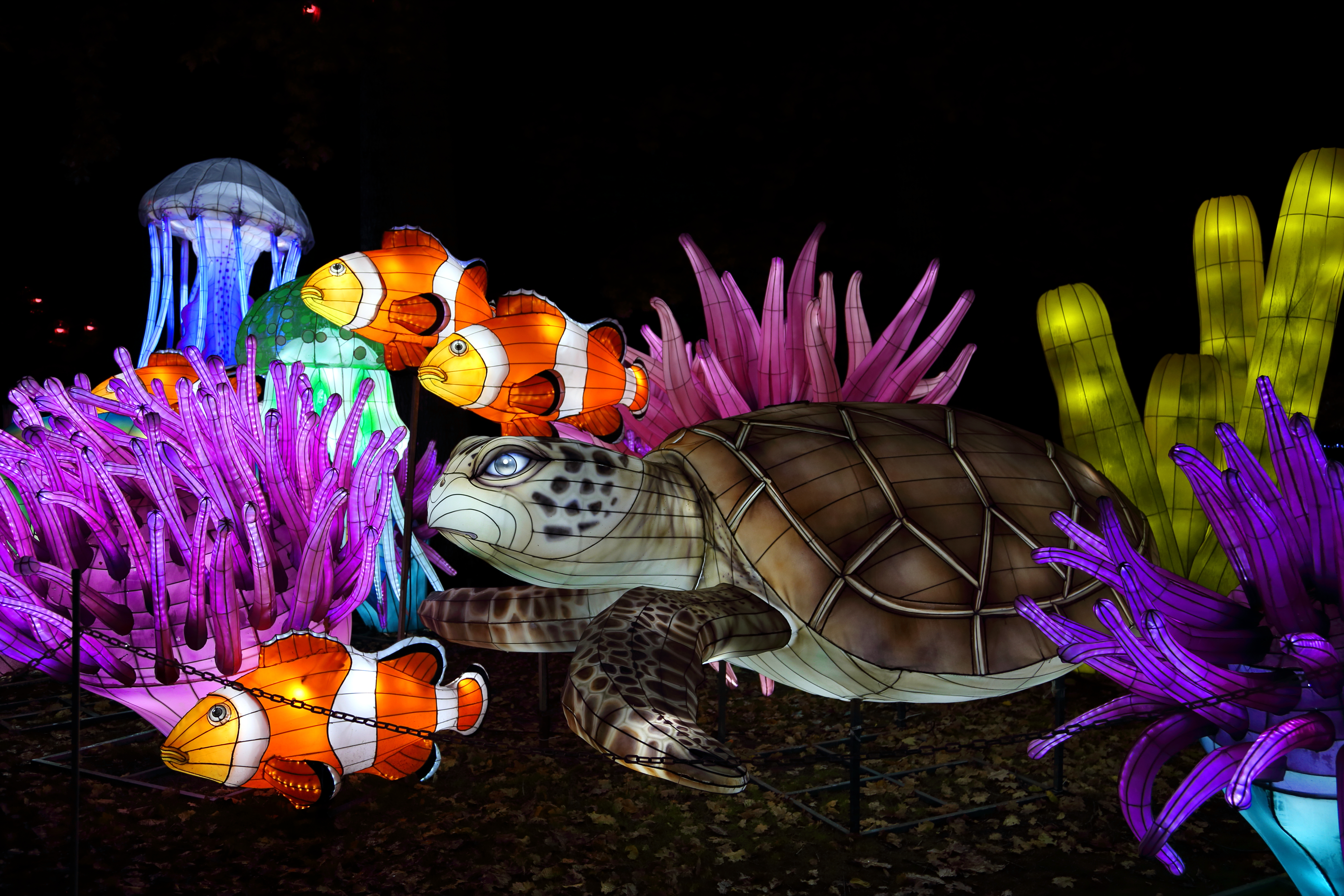 bright colorful fish and turtle dioramas