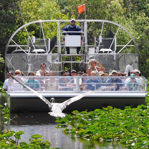 Everglades Tour and Transportation