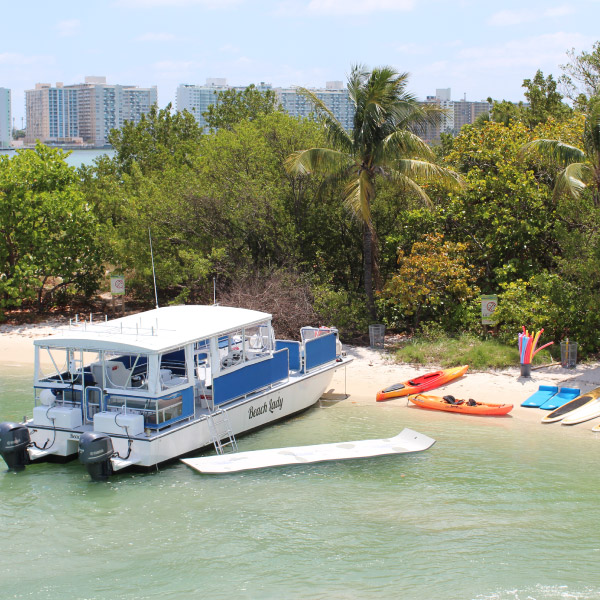 yacht and boat rentals docked on the shore