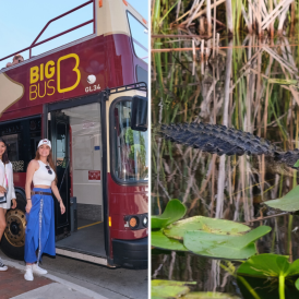 Everglades:Big Bus Everglades:Big Bus